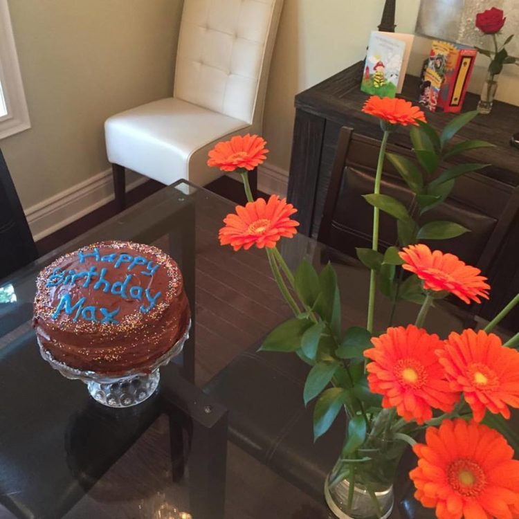 Allergy-Safe Cake & Cupcake Recipe – The Allergy Mom
